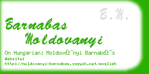 barnabas moldovanyi business card